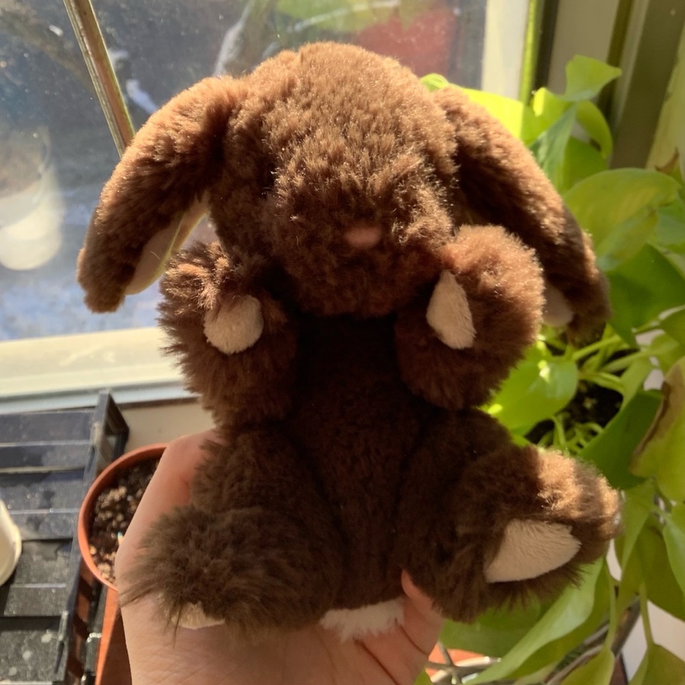 3/20$⭐️NEW Really Soft Bunny Plushie